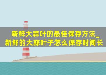 新鲜大蒜叶的最佳保存方法_新鲜的大蒜叶子怎么保存时间长