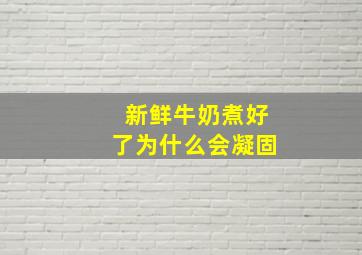 新鲜牛奶煮好了为什么会凝固