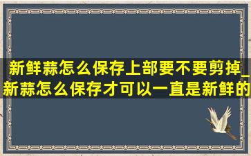 新鲜蒜怎么保存上部要不要剪掉_新蒜怎么保存才可以一直是新鲜的