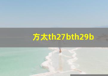 方太th27bth29b