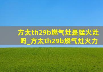 方太th29b燃气灶是猛火灶吗_方太th29b燃气灶火力