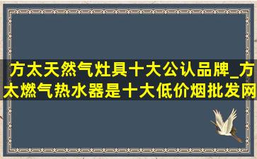 方太天然气灶具十大公认品牌_方太燃气热水器是十大(低价烟批发网)排名吗