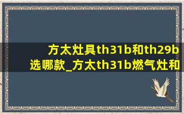 方太灶具th31b和th29b选哪款_方太th31b燃气灶和th29b哪个好