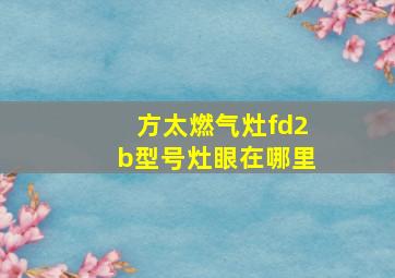 方太燃气灶fd2b型号灶眼在哪里