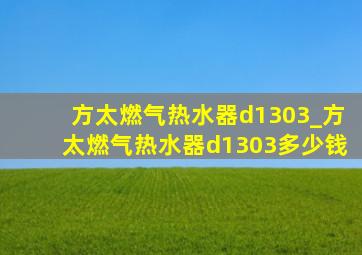 方太燃气热水器d1303_方太燃气热水器d1303多少钱