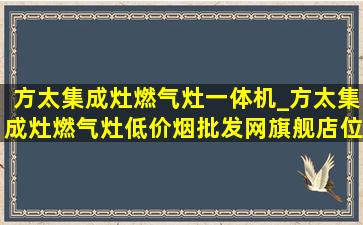 方太集成灶燃气灶一体机_方太集成灶燃气灶(低价烟批发网)旗舰店位置