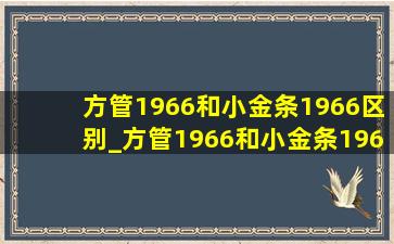 方管1966和小金条1966区别_方管1966和小金条1966哪个好