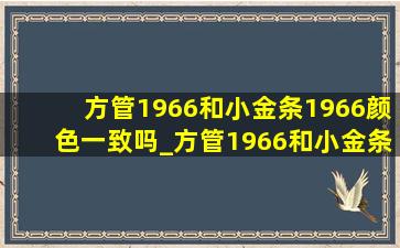 方管1966和小金条1966颜色一致吗_方管1966和小金条1966哪个好