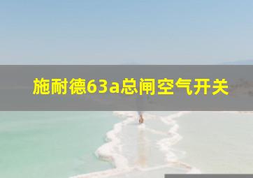 施耐德63a总闸空气开关