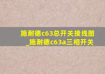 施耐德c63总开关接线图_施耐德c63a三相开关