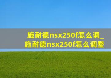 施耐德nsx250f怎么调_施耐德nsx250f怎么调整