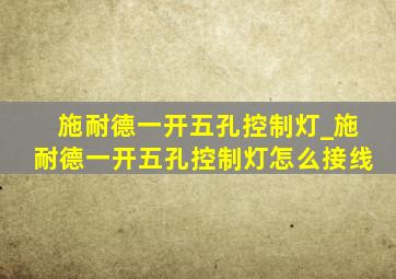 施耐德一开五孔控制灯_施耐德一开五孔控制灯怎么接线