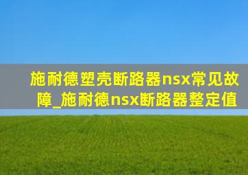 施耐德塑壳断路器nsx常见故障_施耐德nsx断路器整定值