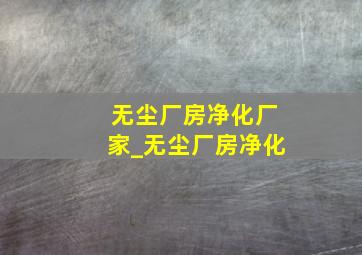 无尘厂房净化厂家_无尘厂房净化