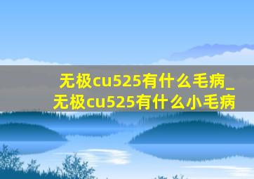 无极cu525有什么毛病_无极cu525有什么小毛病