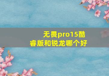 无畏pro15酷睿版和锐龙哪个好