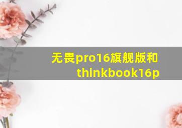 无畏pro16旗舰版和thinkbook16p