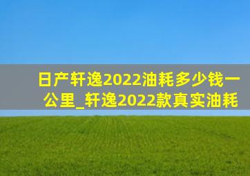 日产轩逸2022油耗多少钱一公里_轩逸2022款真实油耗