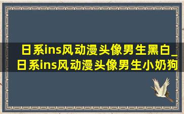 日系ins风动漫头像男生黑白_日系ins风动漫头像男生小奶狗