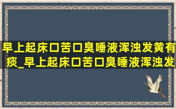 早上起床口苦口臭唾液浑浊发黄有痰_早上起床口苦口臭唾液浑浊发黄怎么办