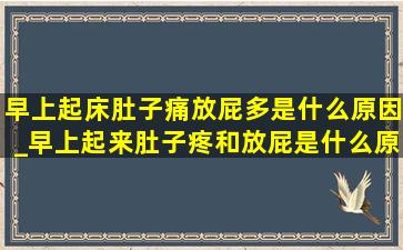 早上起床肚子痛放屁多是什么原因_早上起来肚子疼和放屁是什么原因