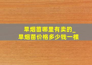 旱烟苗哪里有卖的_旱烟苗价格多少钱一棵