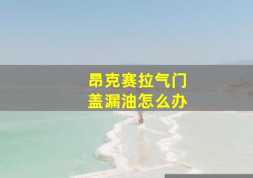 昂克赛拉气门盖漏油怎么办