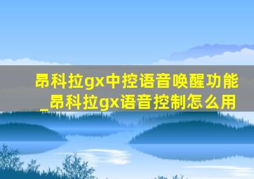 昂科拉gx中控语音唤醒功能_昂科拉gx语音控制怎么用