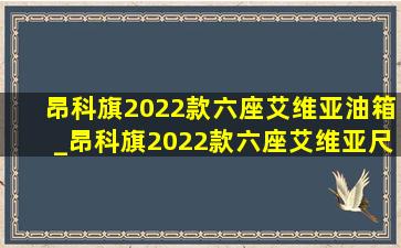 昂科旗2022款六座艾维亚油箱_昂科旗2022款六座艾维亚尺寸