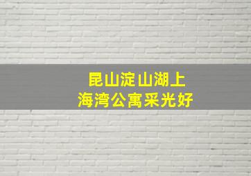 昆山淀山湖上海湾公寓采光好