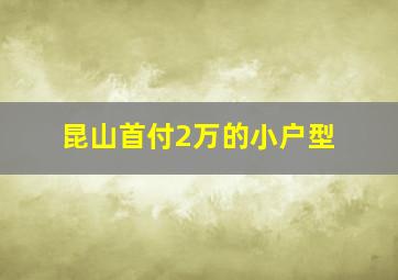 昆山首付2万的小户型