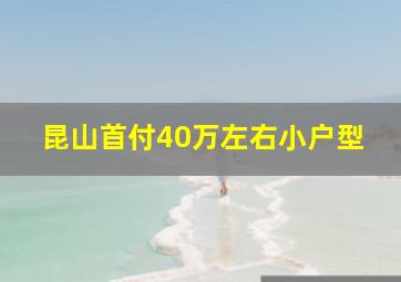 昆山首付40万左右小户型