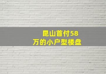 昆山首付58万的小户型楼盘