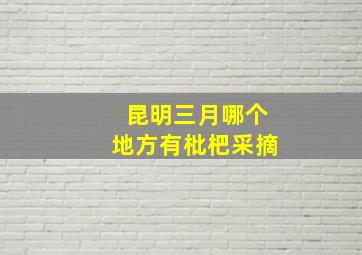 昆明三月哪个地方有枇杷采摘