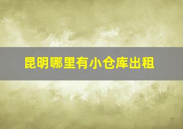 昆明哪里有小仓库出租