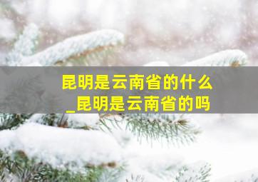 昆明是云南省的什么_昆明是云南省的吗