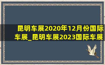 昆明车展2020年12月份国际车展_昆明车展2023国际车展