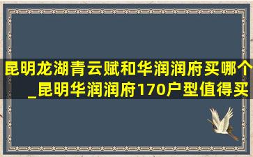 昆明龙湖青云赋和华润润府买哪个_昆明华润润府170户型值得买吗