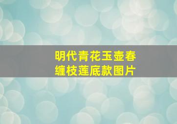 明代青花玉壶春缠枝莲底款图片