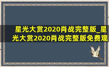 星光大赏2020肖战完整版_星光大赏2020肖战完整版免费观看