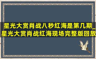 星光大赏肖战八秒红海是第几期_星光大赏肖战红海现场完整版回放