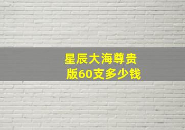 星辰大海尊贵版60支多少钱