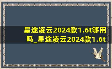 星途凌云2024款1.6t够用吗_星途凌云2024款1.6t加速