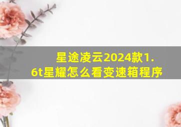 星途凌云2024款1.6t星耀怎么看变速箱程序