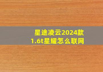 星途凌云2024款1.6t星耀怎么联网