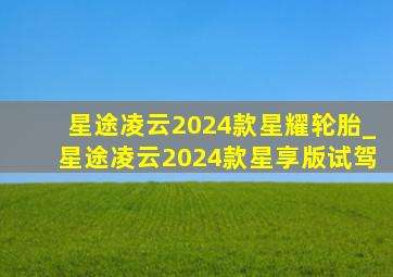 星途凌云2024款星耀轮胎_星途凌云2024款星享版试驾