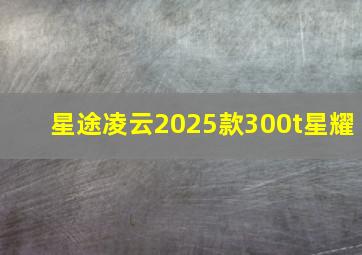 星途凌云2025款300t星耀