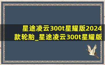 星途凌云300t星耀版2024款轮胎_星途凌云300t星耀版2024款