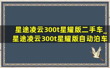 星途凌云300t星耀版二手车_星途凌云300t星耀版自动泊车