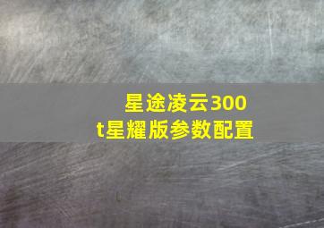 星途凌云300t星耀版参数配置